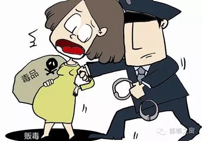 2016年初，涉縣警方查獲一起涉毒案件，鑒于該案涉案人員多、毒品交易量大，涉縣警方立即將案情上報，被公安部確立為“目標-2016-314”號毒品案件。涉縣警方成立專案組，經(jīng)過多方追查，先后抓獲團伙人員13名，繳獲毒品5349克，并查明上線“濮姐”的真實身份為陳某。